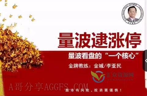 量学大讲堂金城李亚民量学擒龙伏击龙头第36期+段位课13量波插图